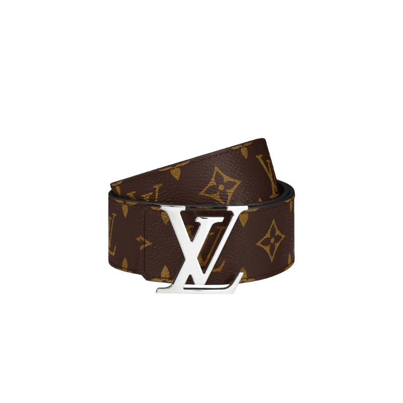 Brown Silver Buckle