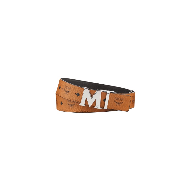 Brown Silver Buckle