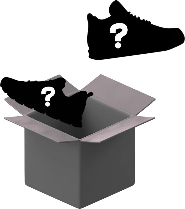 Mystery Sneakers